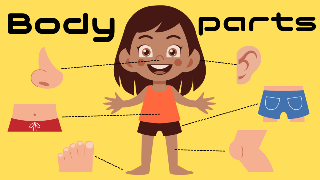 Body parts 〜体の部位〜 | えいごえほんの森